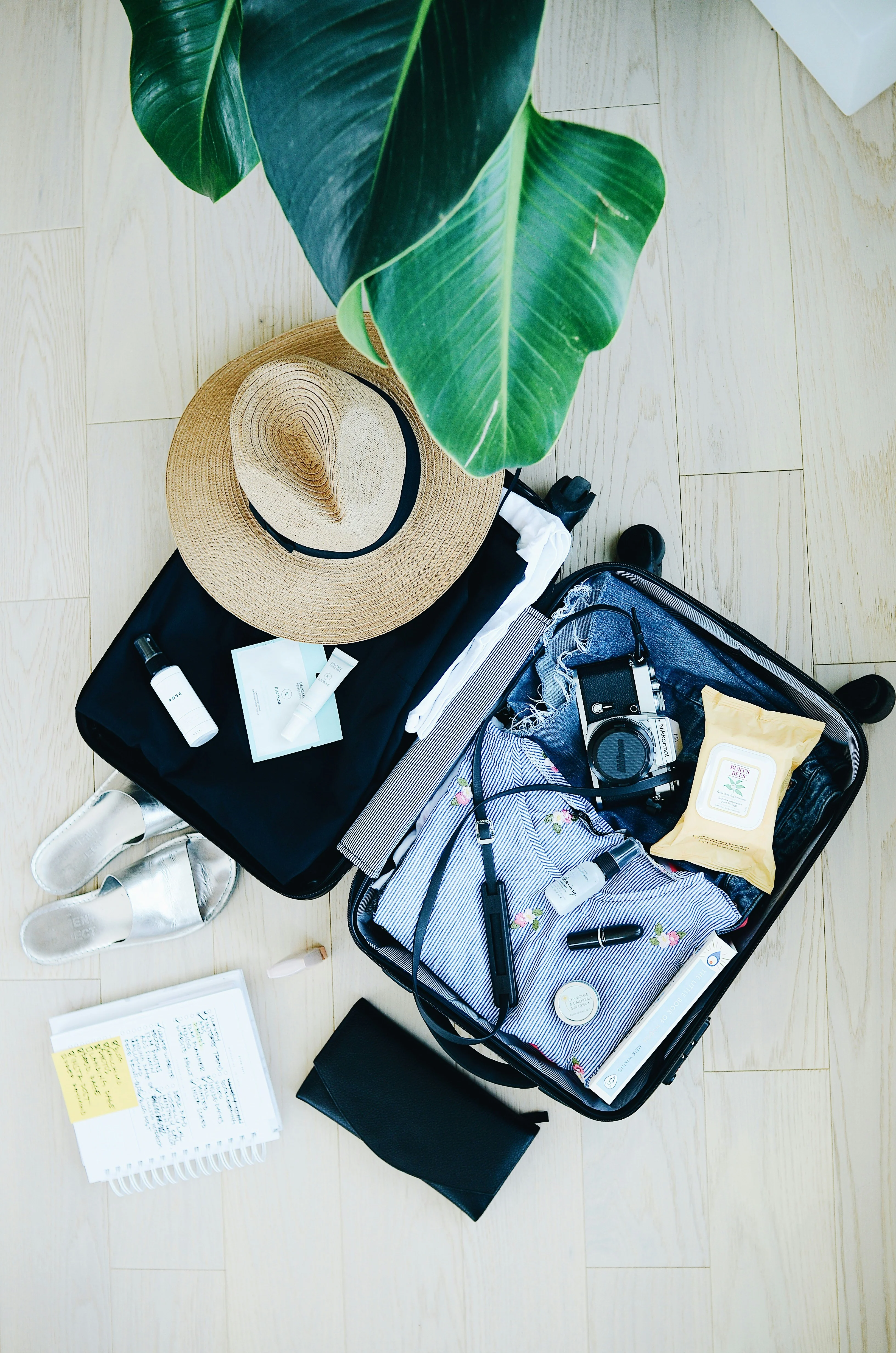 Best Southern Africa Holidays to Travel: Dates, Long Weekends and What Closes