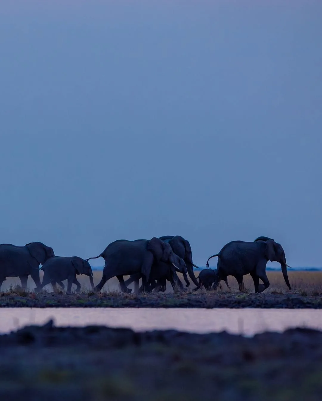 Focus Travel safari photo