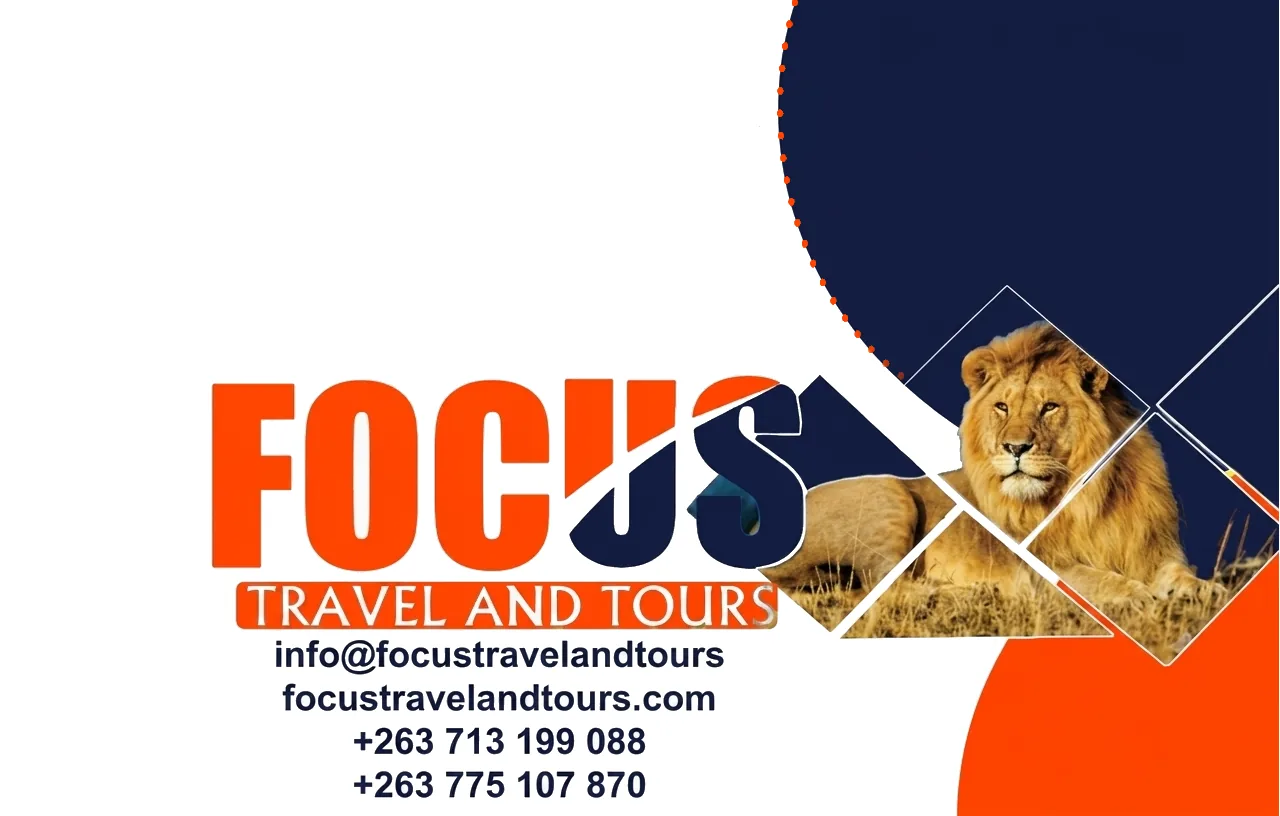 Focus Travel safari photo