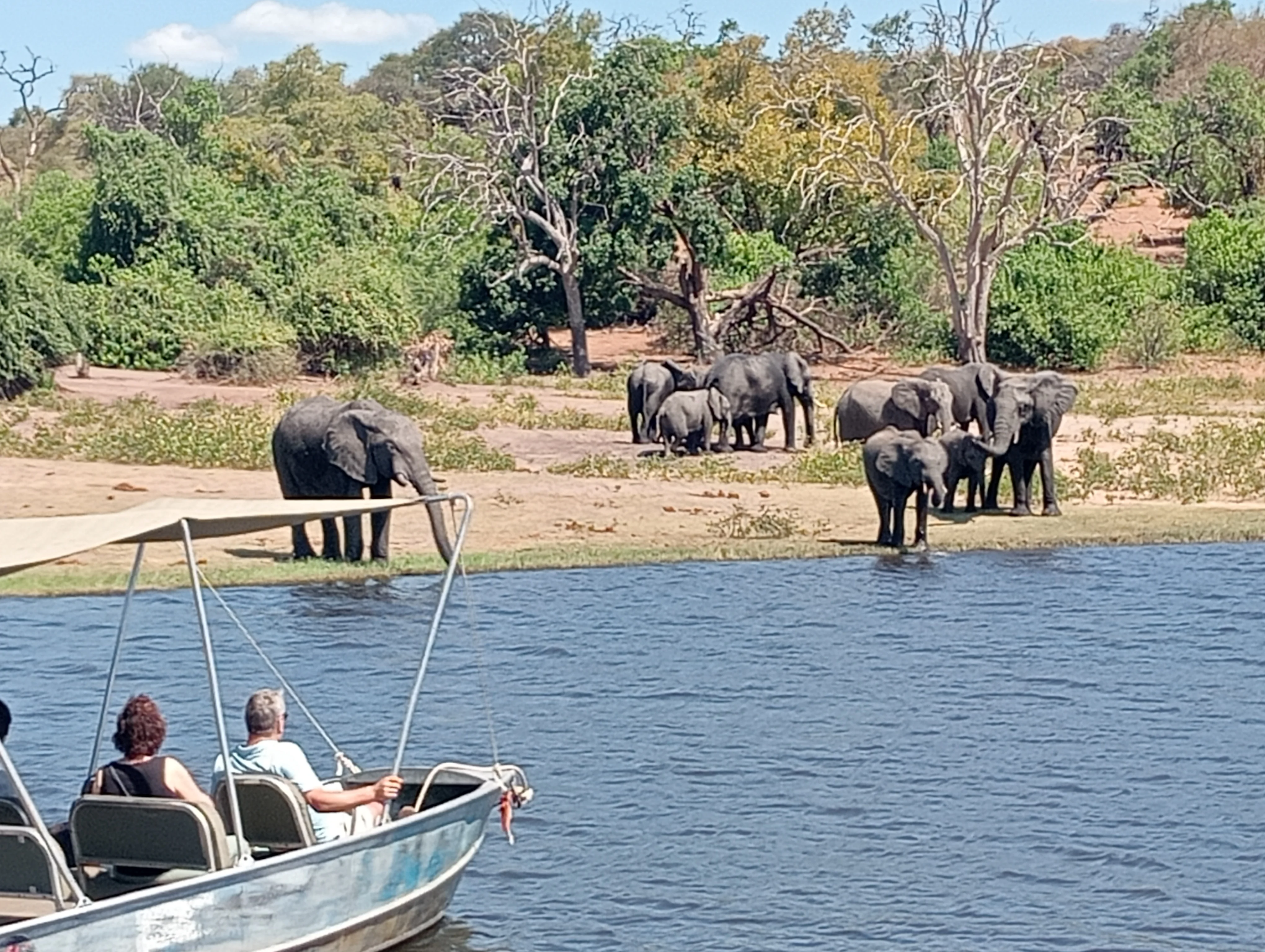 Victoria Falls & Chobe, Overnight Combination