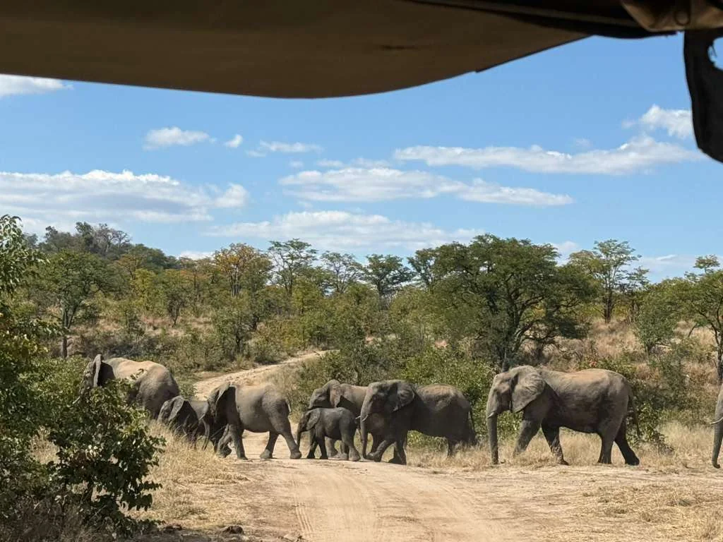 Wasserfälle-Tour und Ausflug zum Hwange-Nationalpark