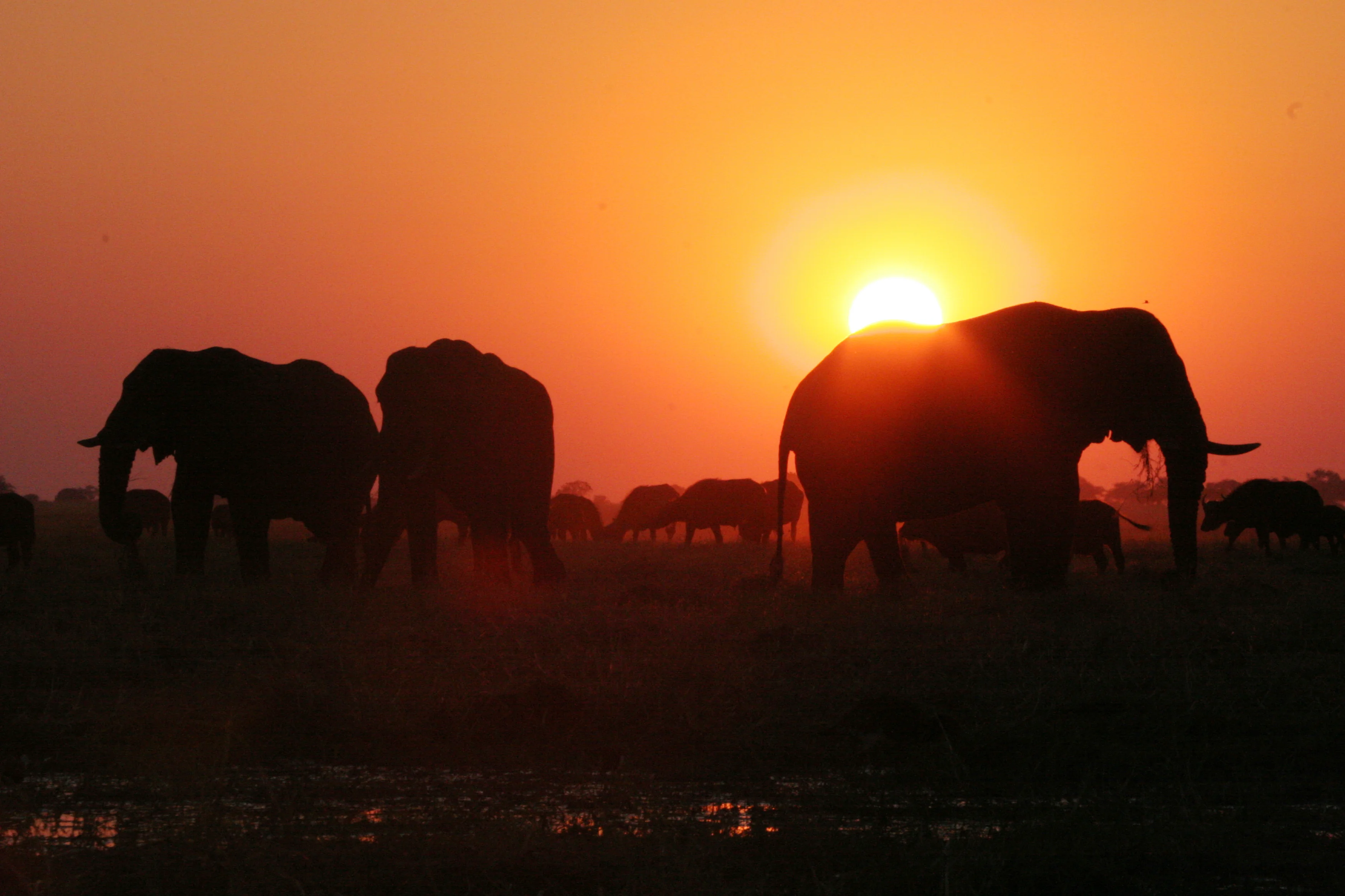 Kruger 3-Day Safari