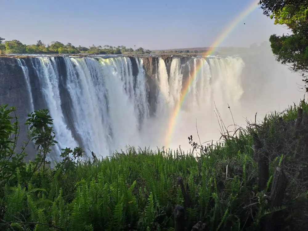 2 Day Transfer, Falls Tour- Chobe Day Trip Combo
