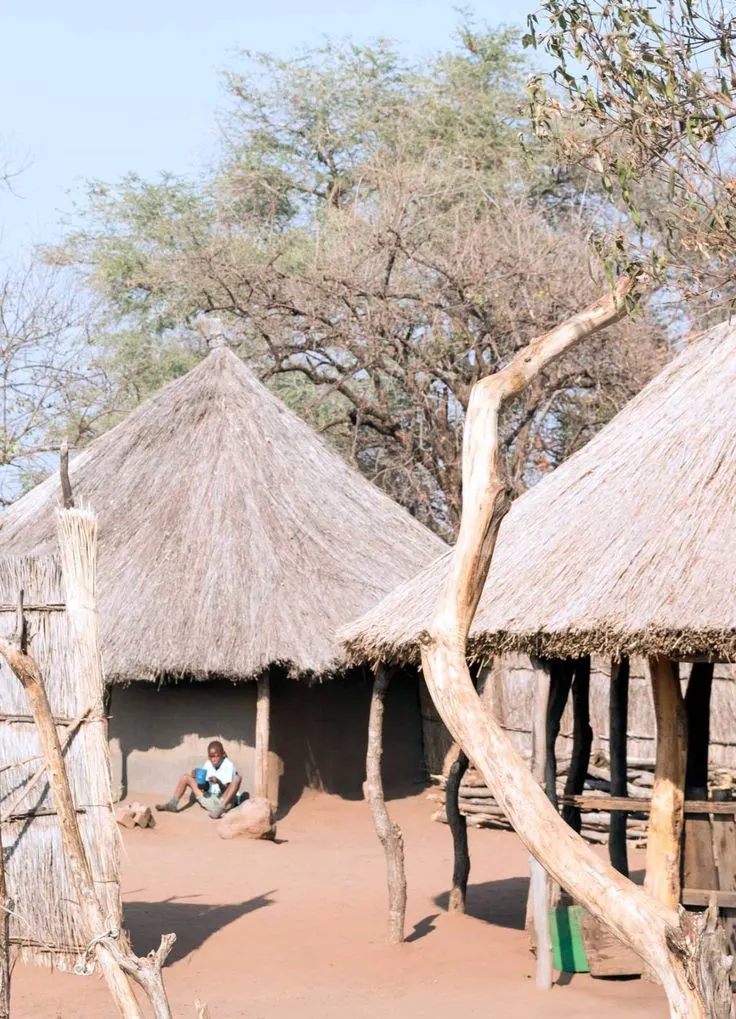 6-Day Khwai, Savuti & Chobe Wilderness Trail