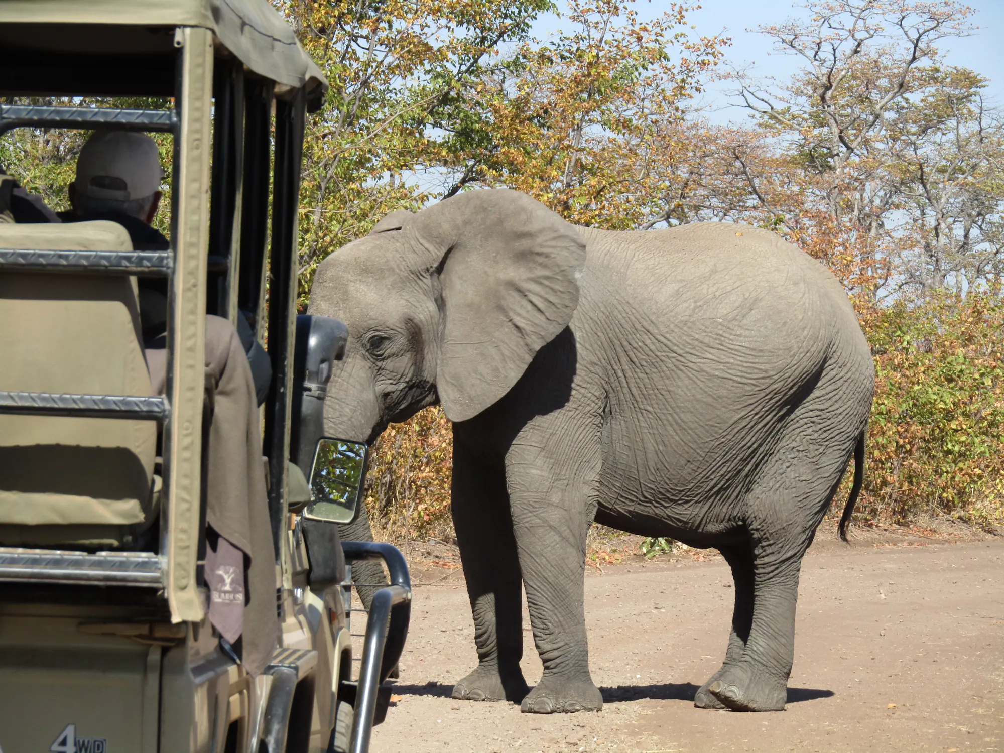 Game Drive Zambezi NP